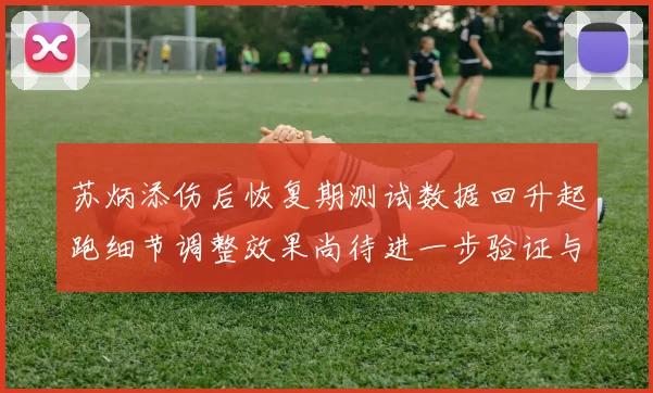苏炳添伤后恢复期测试数据回升起跑细节调整效果尚待进一步验证与观察